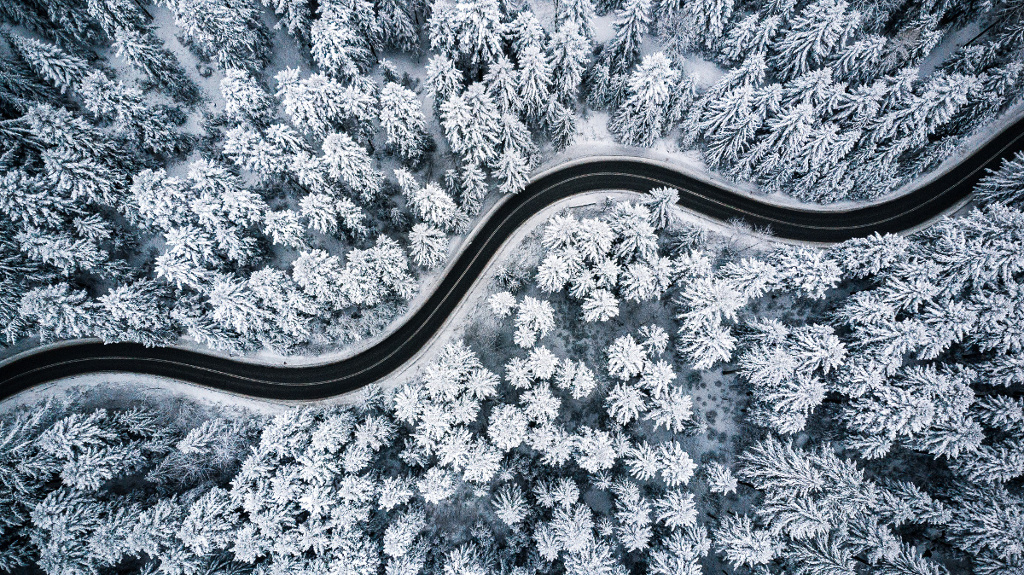 Curvy road in snowy forest