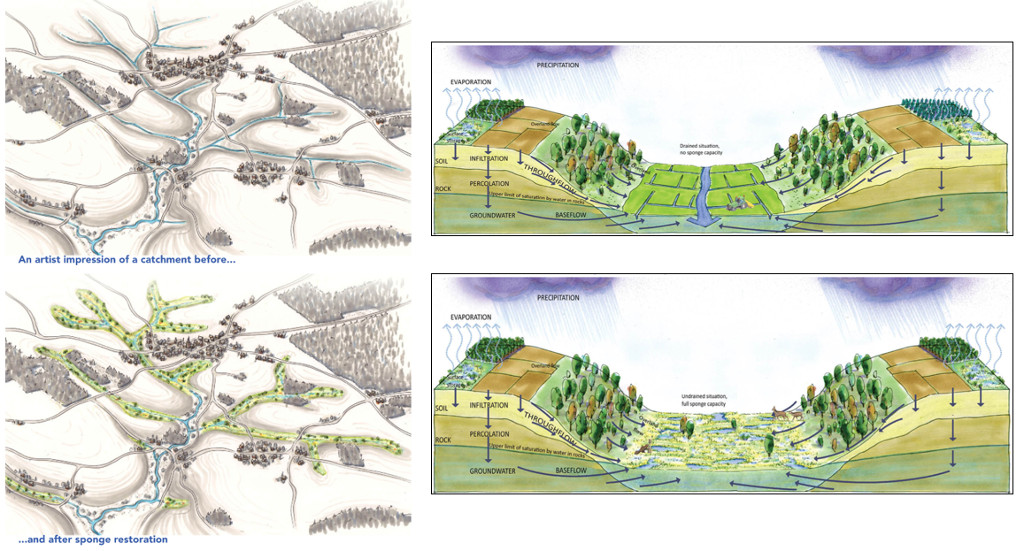 Example of sponge restoration in upstream micro-catchment areas of the
										river Rhine