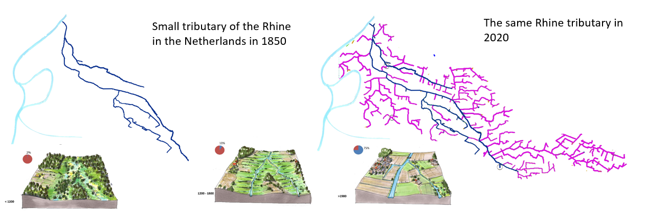 Example of the enlargement of a small Rhine tributary