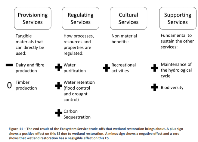 Chart of ecosystem services